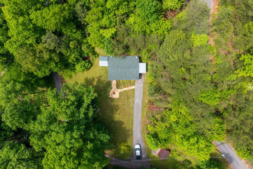 1284 Laurel Lick Road, Unit FIREFLYFOREST Sevierville, TN 37863 - Photo 6 of 40 Gallery Image 6