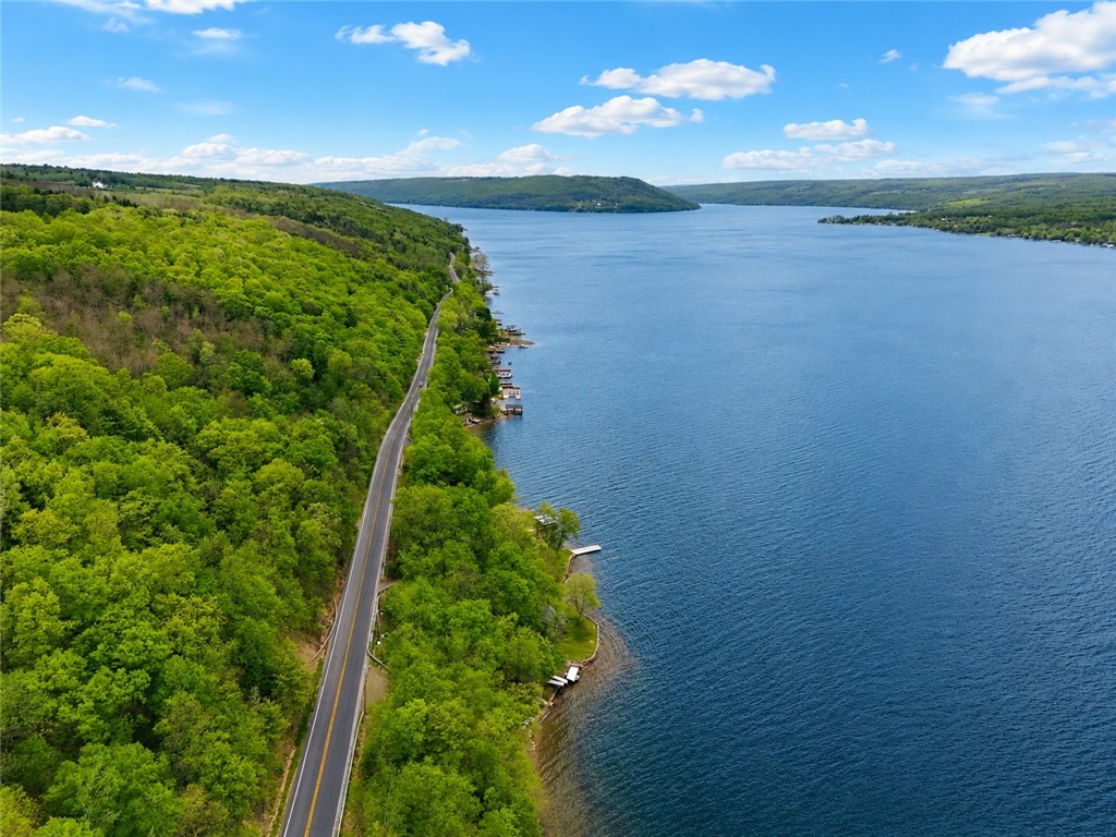 11429 West Lake Road Hammondsport, NY 14840 - Photo 3 of 46