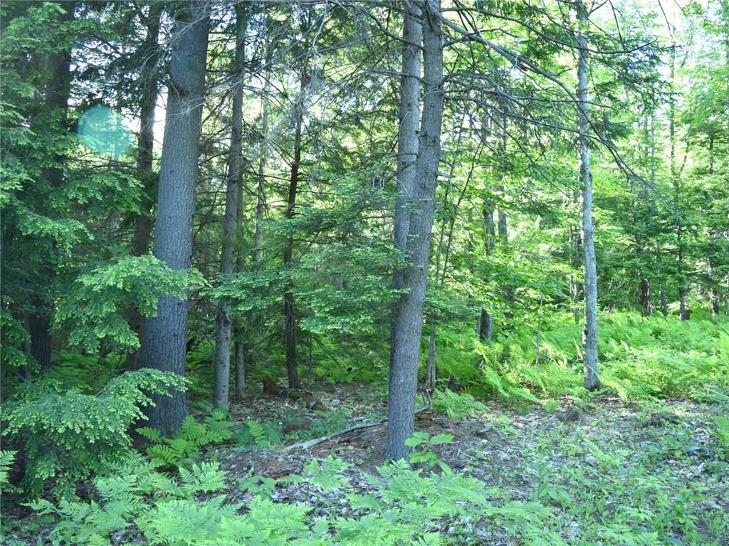 Lot 3 Sadie Dunn Rd Mount Mount Vernon, ME 04352 - Photo 2 of 4 Photo