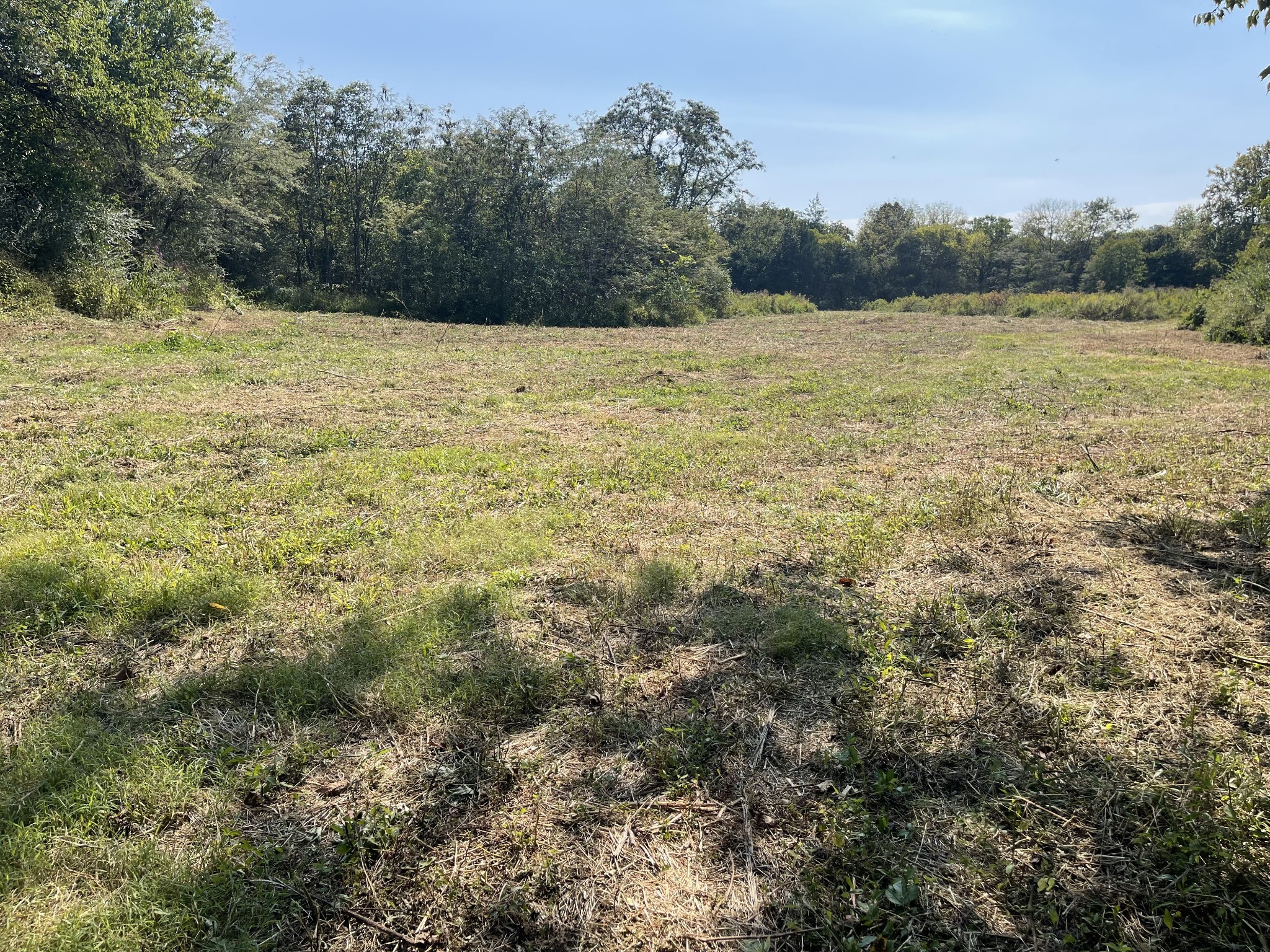 0 McBurg Dellrose Road Dellrose, TN 38453 - Photo 11 of 18 a big yard with lots of green space