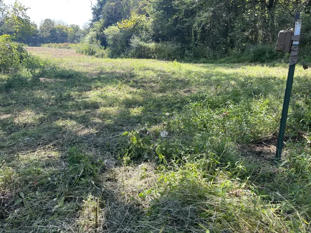 a view of outdoor space and yard