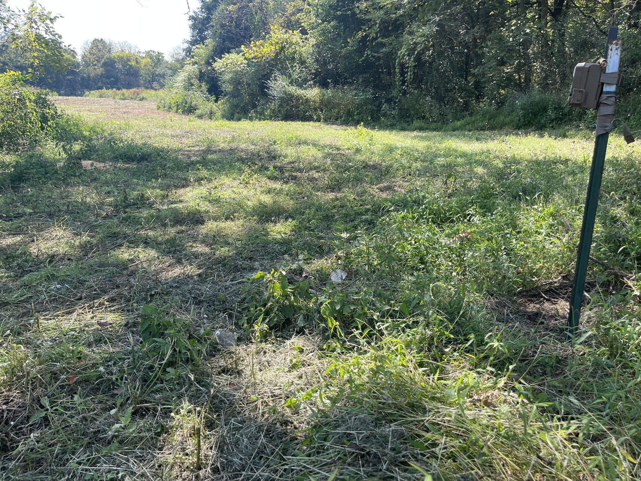 0 McBurg Dellrose Road Dellrose, TN 38453 - Photo 13 of 18 a view of outdoor space and yard
