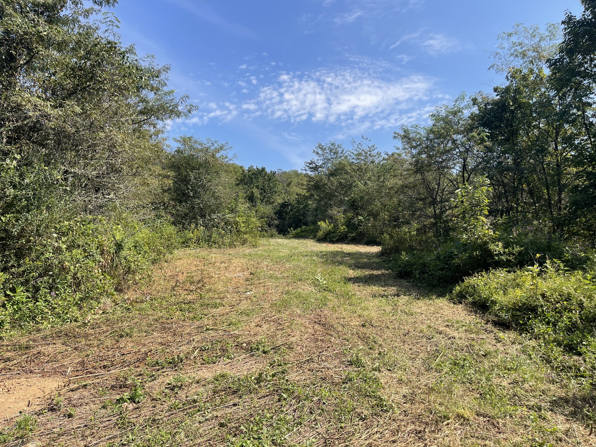 0 McBurg Dellrose Road Dellrose, TN 38453 - Photo 14 of 18 a view of outdoor space and trees