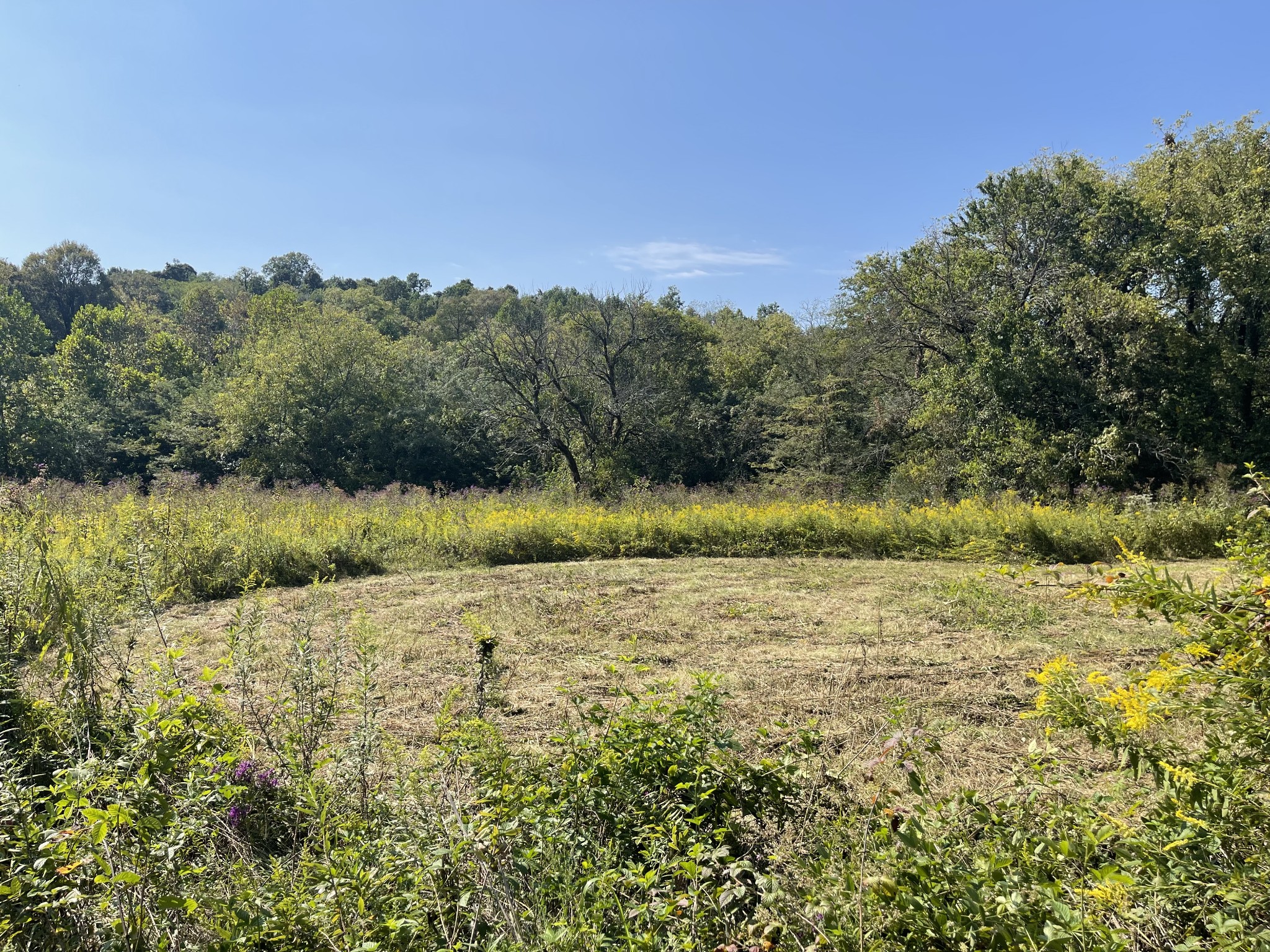 0 McBurg Dellrose Road Dellrose, TN 38453 - Photo 16 of 18 a view of mountain with lake view