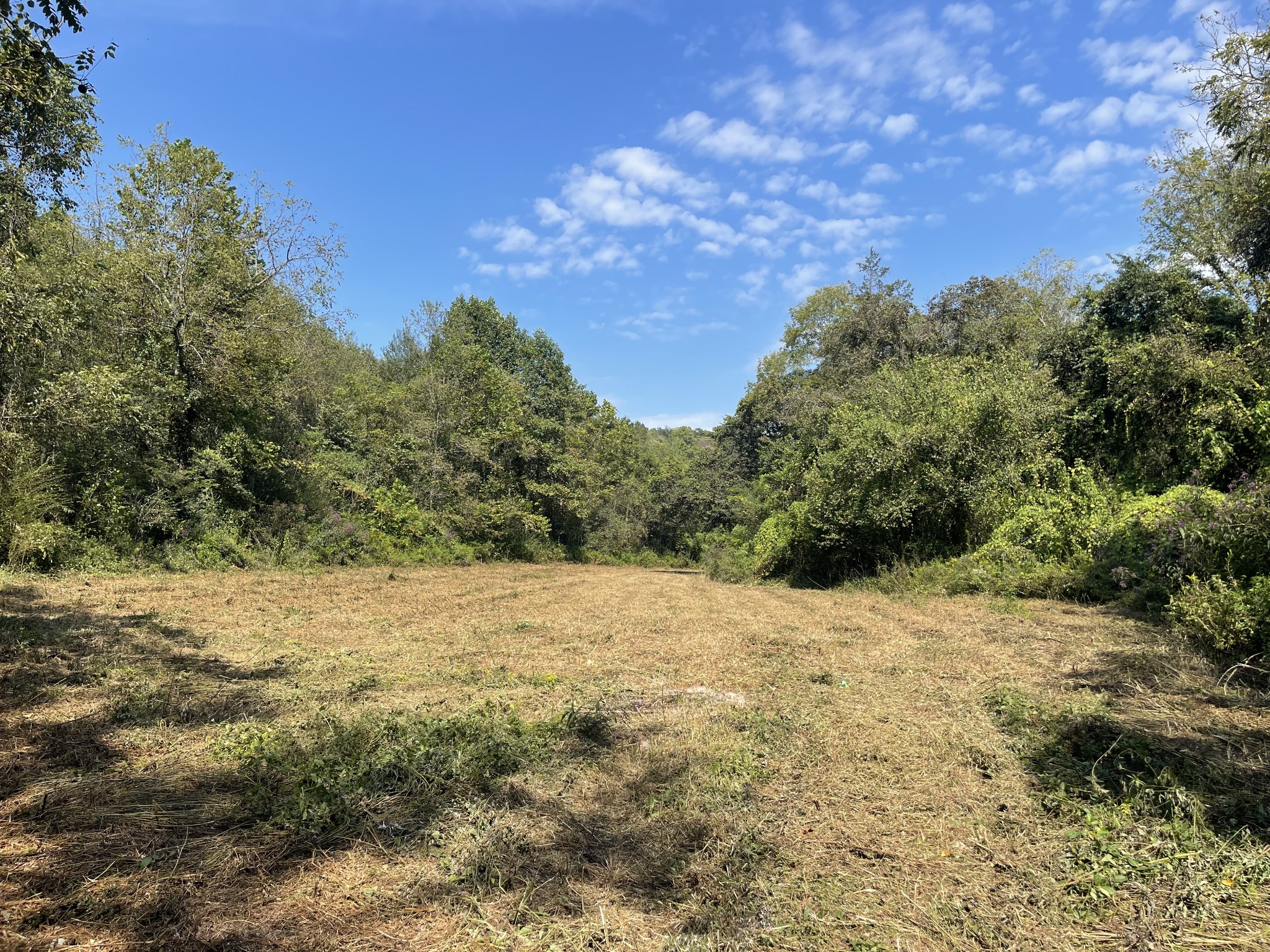 0 McBurg Dellrose Road Dellrose, TN 38453 - Photo 17 of 18 a view of an outdoor space with mountain view