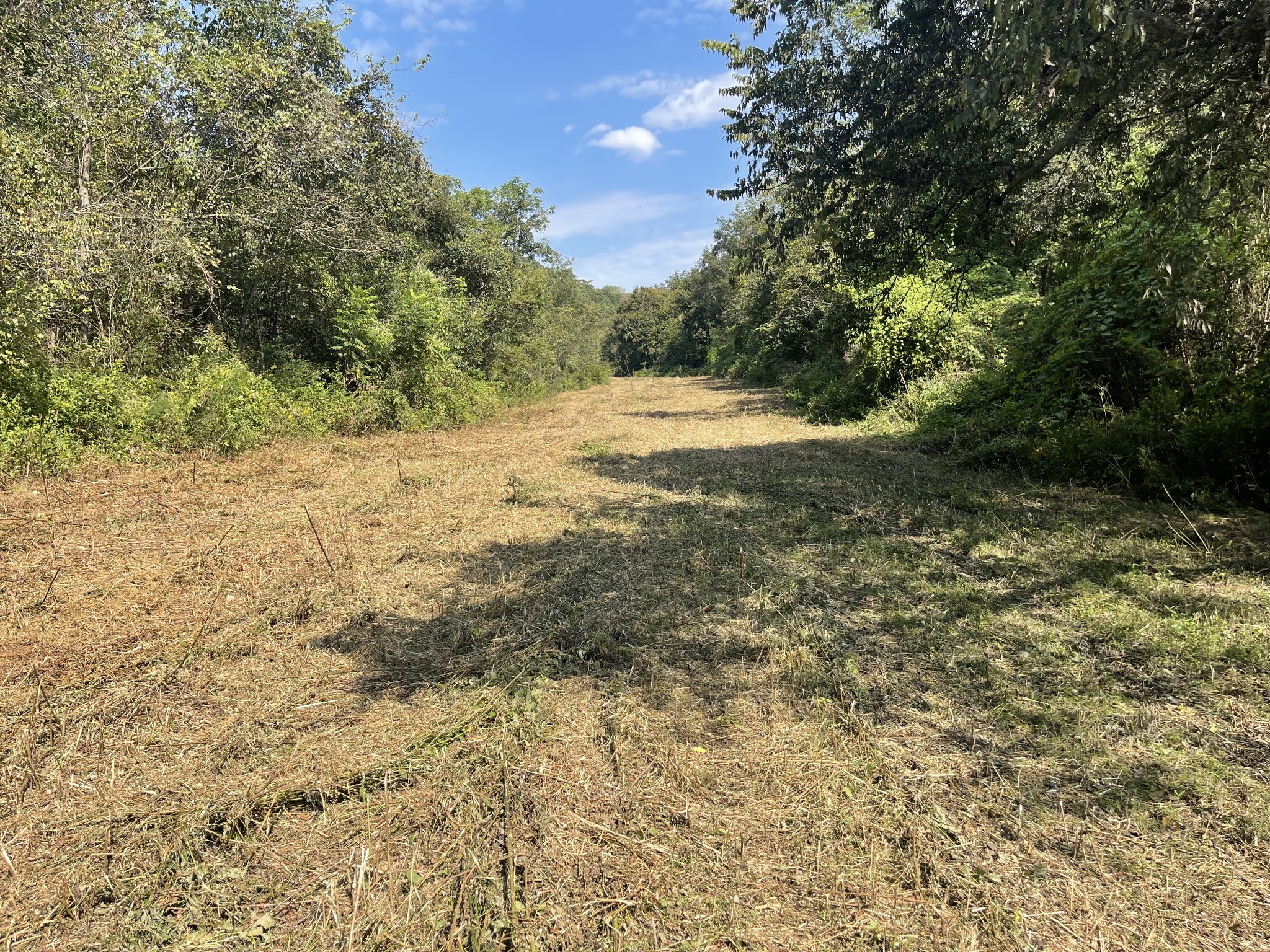 0 McBurg Dellrose Road Dellrose, TN 38453 - Photo 18 of 18 a view of outdoor space and yard