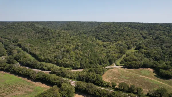 a view of a bunch of trees and bushes