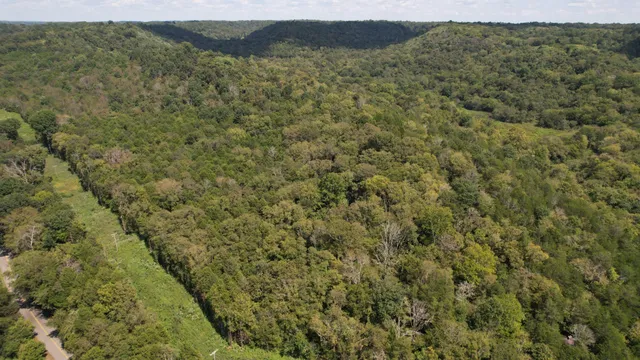 a view of a mountain