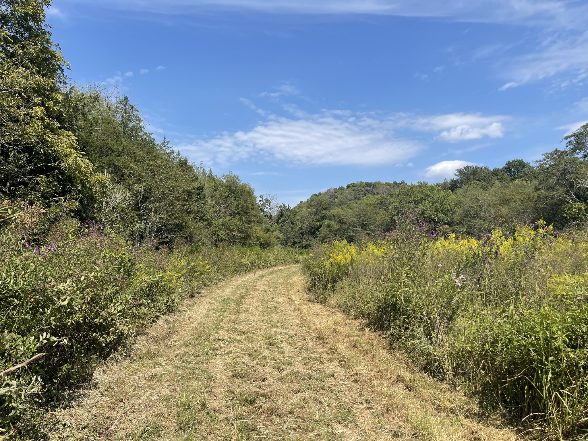 0 McBurg Dellrose Road Dellrose, TN 38453 - Photo 10 of 18 a view of a lake with mountains in the background