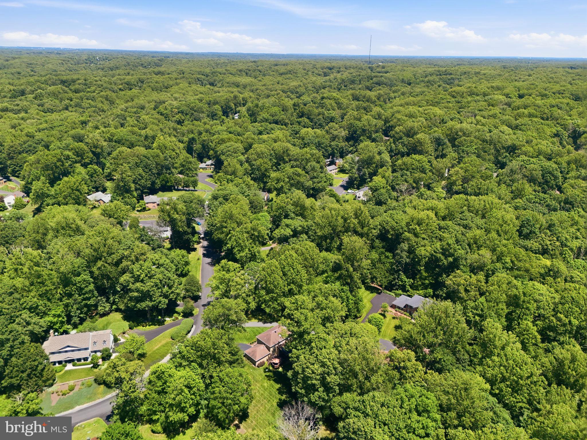 11661 Captain Rhett Lane Fairfax Station, VA 22039 - Photo 21 of 21