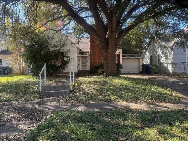 a view of a yard with plants and a large tree