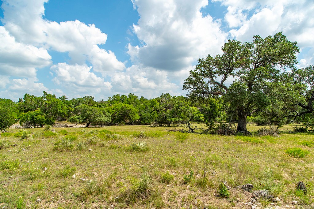 21690 Fm 2093, Unit 5 Harper, TX 78631 - Photo 11 of 23 a view of an ocean view