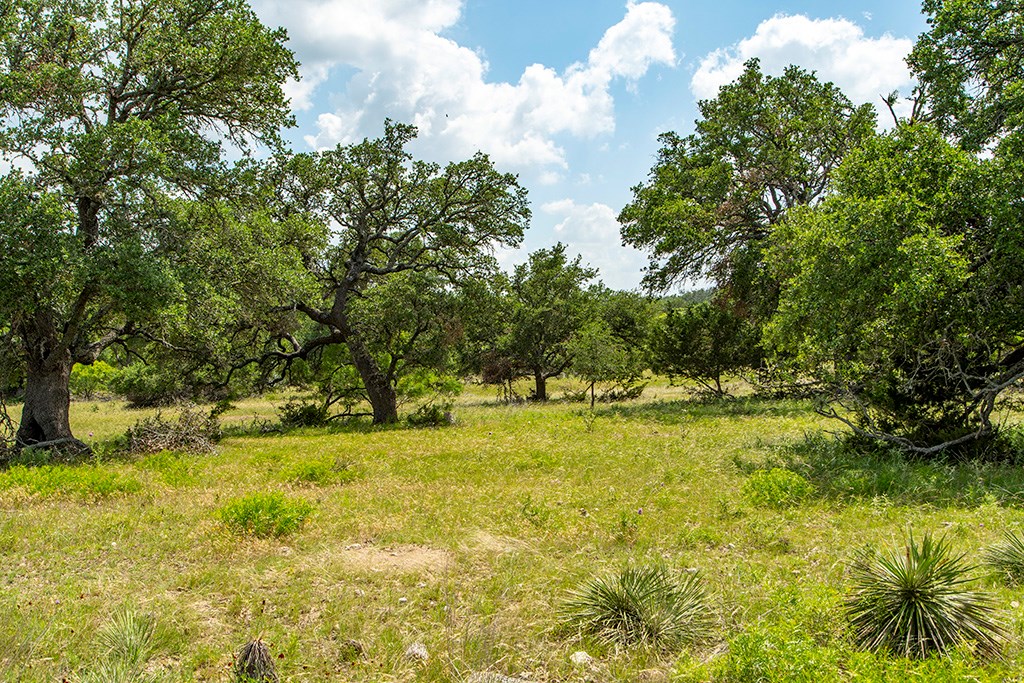 21690 Fm 2093, Unit 5 Harper, TX 78631 - Photo 12 of 23 a view of yard with swimming pool and trees in the background