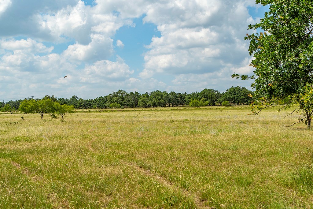 21690 Fm 2093, Unit 5 Harper, TX 78631 - Photo 13 of 23 a view of a lake view