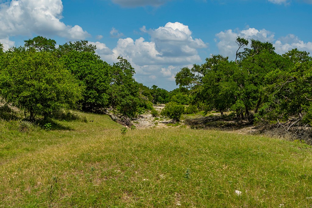 21690 Fm 2093, Unit 5 Harper, TX 78631 - Photo 16 of 23 a view of a yard