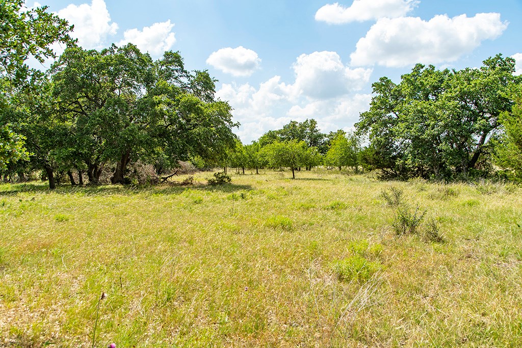 21690 Fm 2093, Unit 5 Harper, TX 78631 - Photo 17 of 23 a view of swimming pool with an outdoor space and seating area