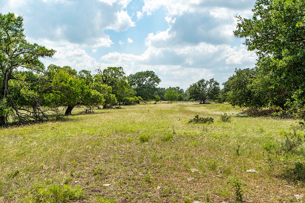21690 Fm 2093, Unit 5 Harper, TX 78631 - Photo 18 of 23 a view of a yard with an outdoor space