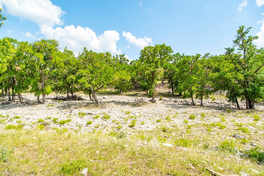 21690 Fm 2093, Unit 5 Harper, TX 78631 - Photo 19 of 23 a view of swimming pool with a yard and trees