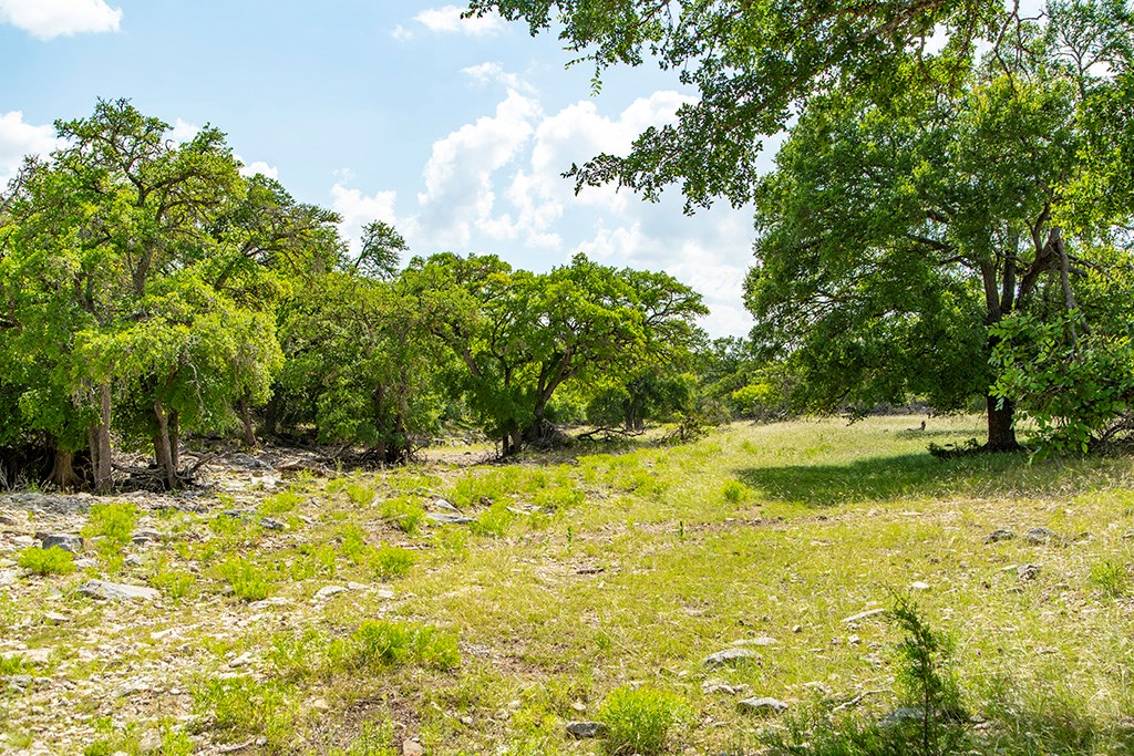 21690 Fm 2093, Unit 5 Harper, TX 78631 - Photo 20 of 23 a view of a yard with yellow house