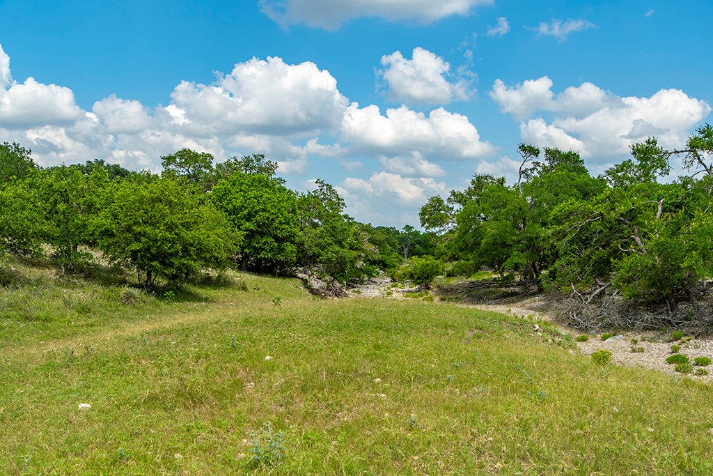 21690 Fm 2093, Unit 5 Harper, TX 78631 - Photo 22 of 23 a view of a bunch of trees in background