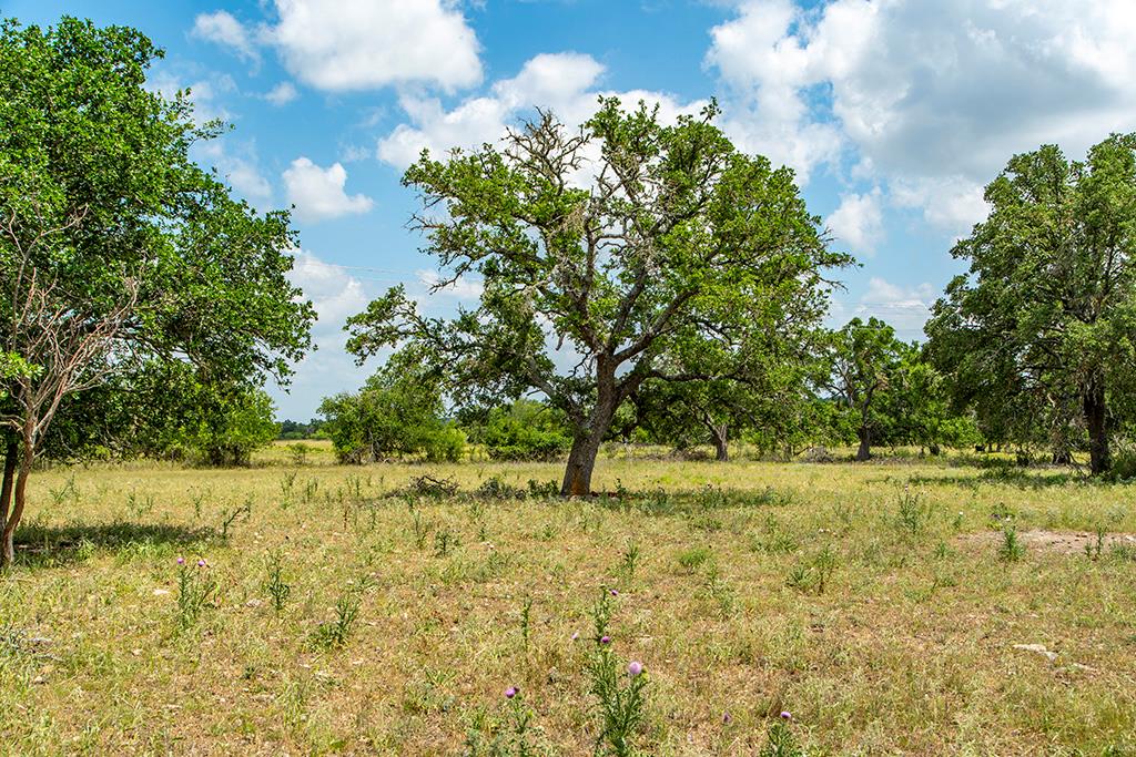 21690 Fm 2093, Unit 5 Harper, TX 78631 - Photo 4 of 23 a view of yard with green space