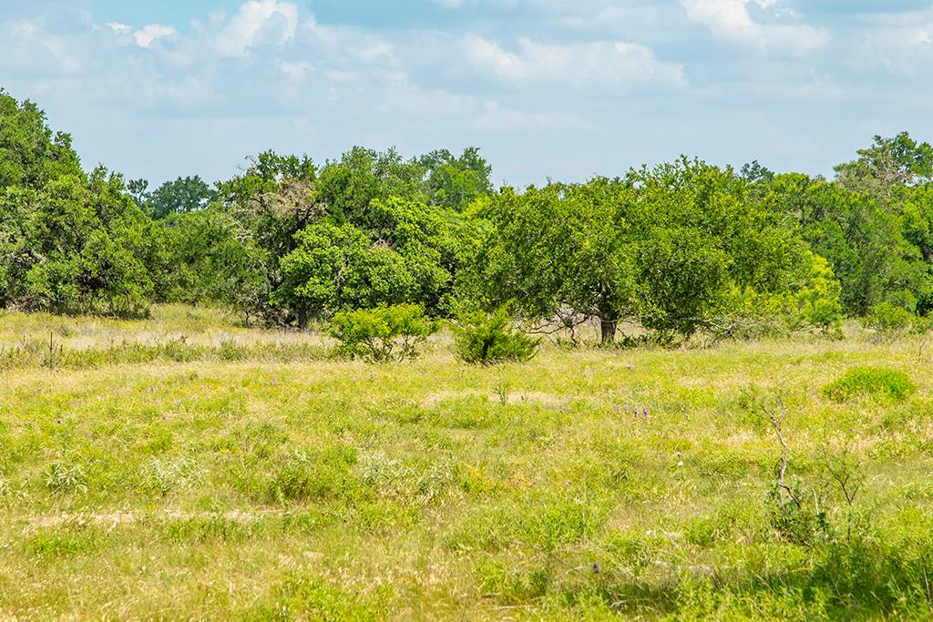 21690 Fm 2093, Unit 5 Harper, TX 78631 - Photo 5 of 23 a yard with yellow house and wooden fence