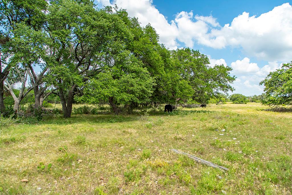 21690 Fm 2093, Unit 5 Harper, TX 78631 - Photo 6 of 23 a view of a yard with plants and trees