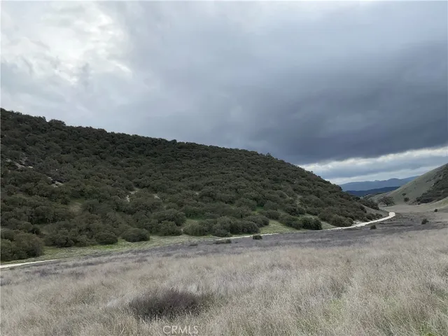 a view of a dry yard