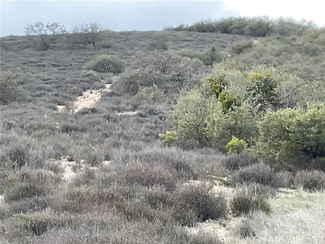 a view of a dry field