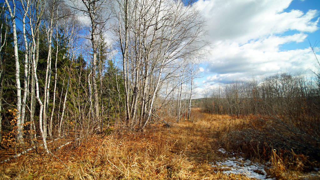 Lot 4.1 Lawlor Ridge Road Benedicta, ME 04733 - Photo 16 of 48 benedicta-lawlor-ridge-rd-2
