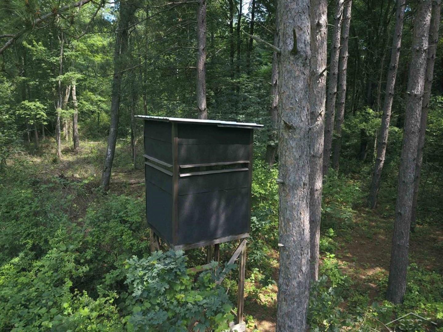 Vl Obrien Road Vassar, MI 48768 - Photo 3 of 21