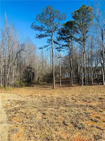 a view of a yard with a trees