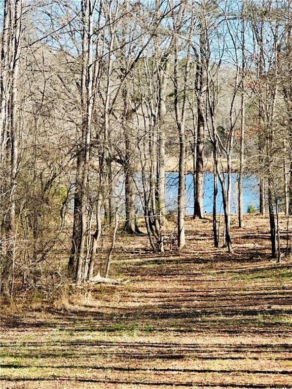 622 Lake Varner Drive Covington, GA 30014 - Photo 4 of 10 a view of a yard with a trees