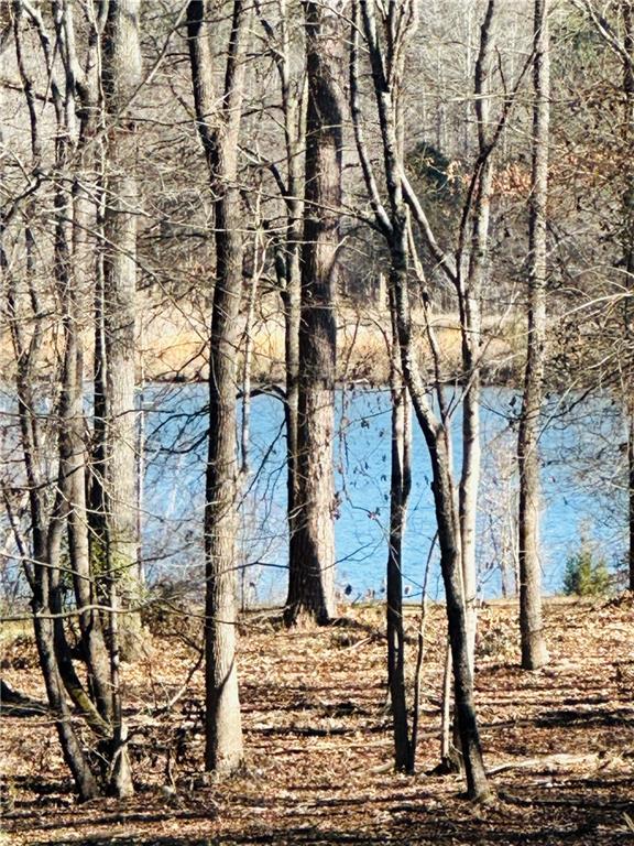 622 Lake Varner Drive Covington, GA 30014 - Photo 5 of 10 a view of a yard covered with snow