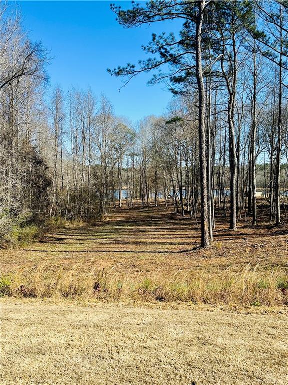 622 Lake Varner Drive Covington, GA 30014 - Photo 6 of 10 a swimming pool with trees in the background