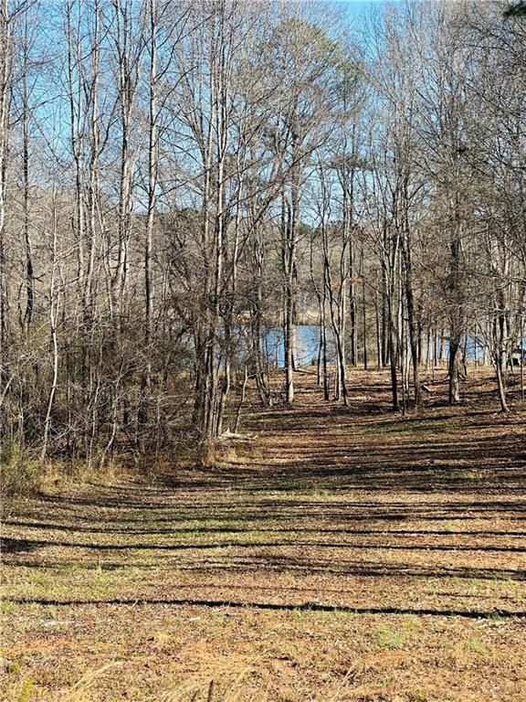 622 Lake Varner Drive Covington, GA 30014 - Photo 7 of 10 a view of a yard with trees