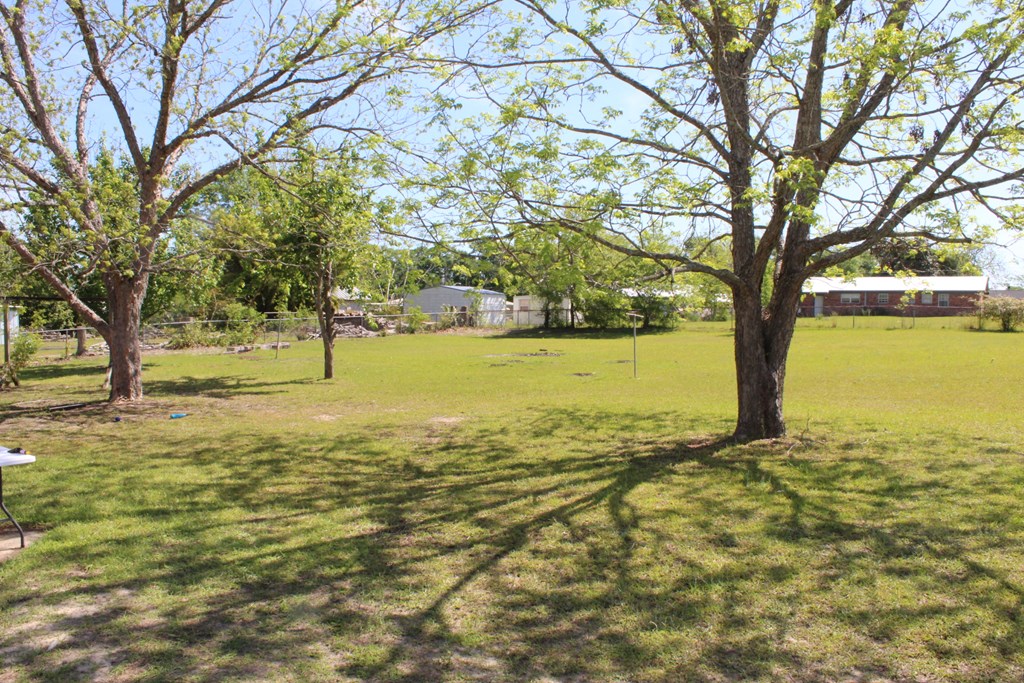 95 Butler Court Cowarts, AL 36321 - Photo 6 of 15