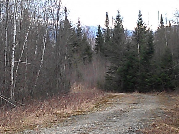 Lot 2 Whipple Road Jefferson, NH 03583 - Photo 7 of 13 Gallery Image 7