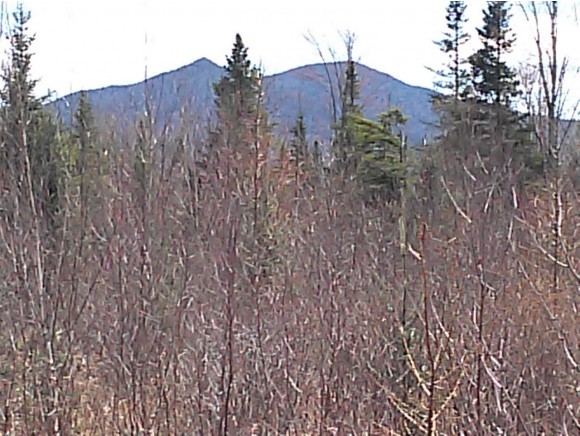 Lot 2 Whipple Road Jefferson, NH 03583 - Photo 10 of 13 Gallery Image 10