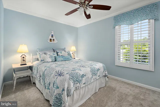 a spacious bedroom with a bed and a dresser