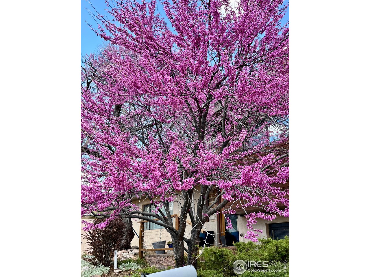 1895 Balsam Avenue Boulder, CO 80304 - Photo 32 of 40 a front view of a multi story building