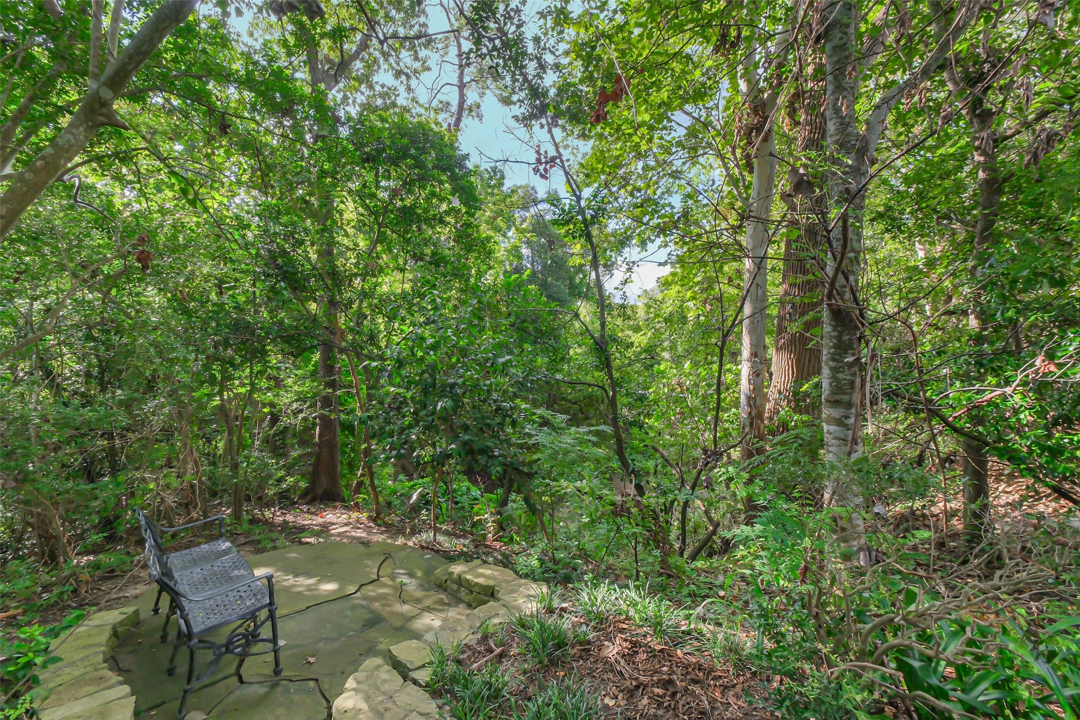 2230 South Piney Point Road, Unit 113 Houston, TX 77063 - Photo 27 of 28 There is a bench by the green space where you can sit and read a book or enjoy nature.