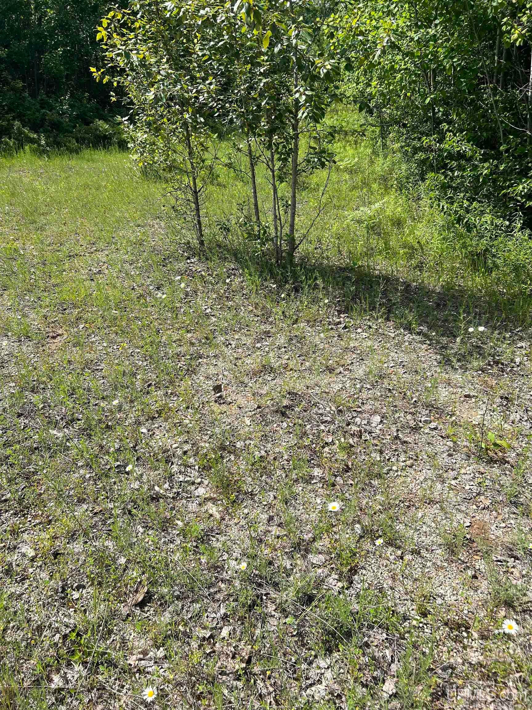 Tbd Chalk Hills Road Daggett, MI 49821 - Photo 15 of 59 Gallery Image 15