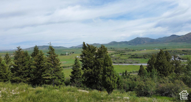 3111 Caribou Road Soda Springs, ID 83276 - Photo 7 of 11 Mountain view with rural landscape and a large body of water