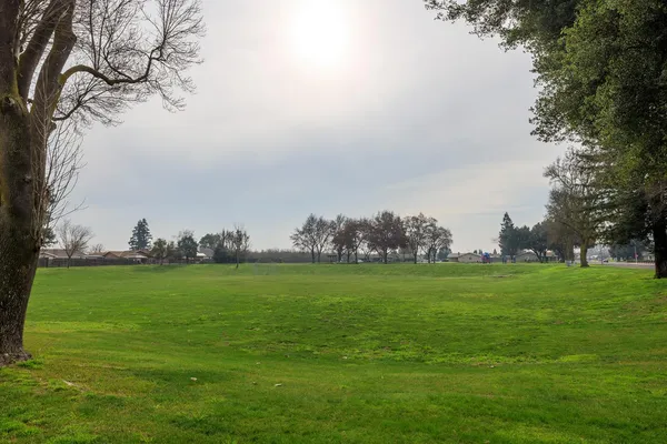 a yard with lots of green space and trees all around