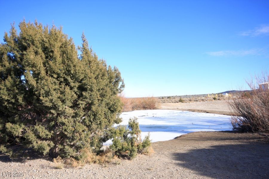 175 Rudin Drive Cold Creek, NV 89124 - Photo 32 of 41 Welcome to Cold Creek!