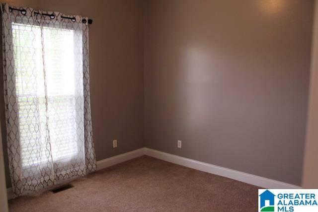 5065 Boiling Springs Road Ohatchee, AL 36271 - Photo 28 of 37 Gallery Image 28