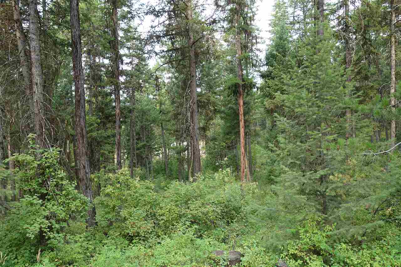 1473 Matson Road Colville, WA 99114 - Photo 11 of 20