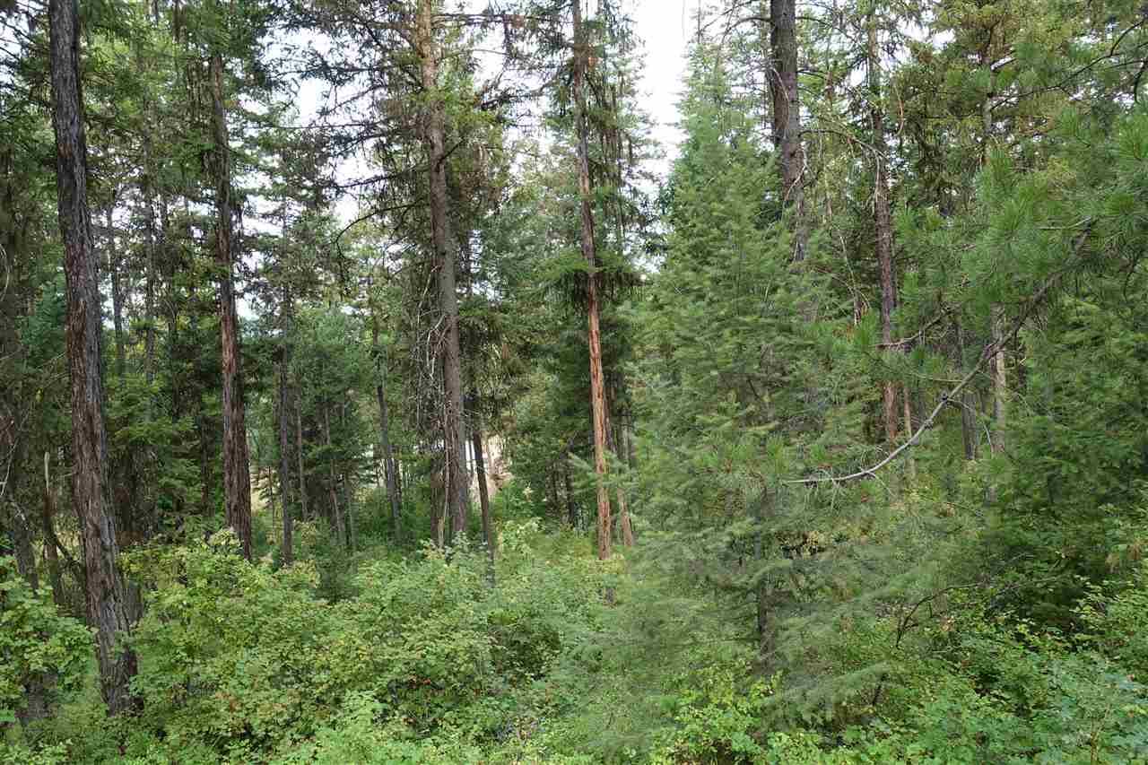 1473 Matson Road Colville, WA 99114 - Photo 12 of 20