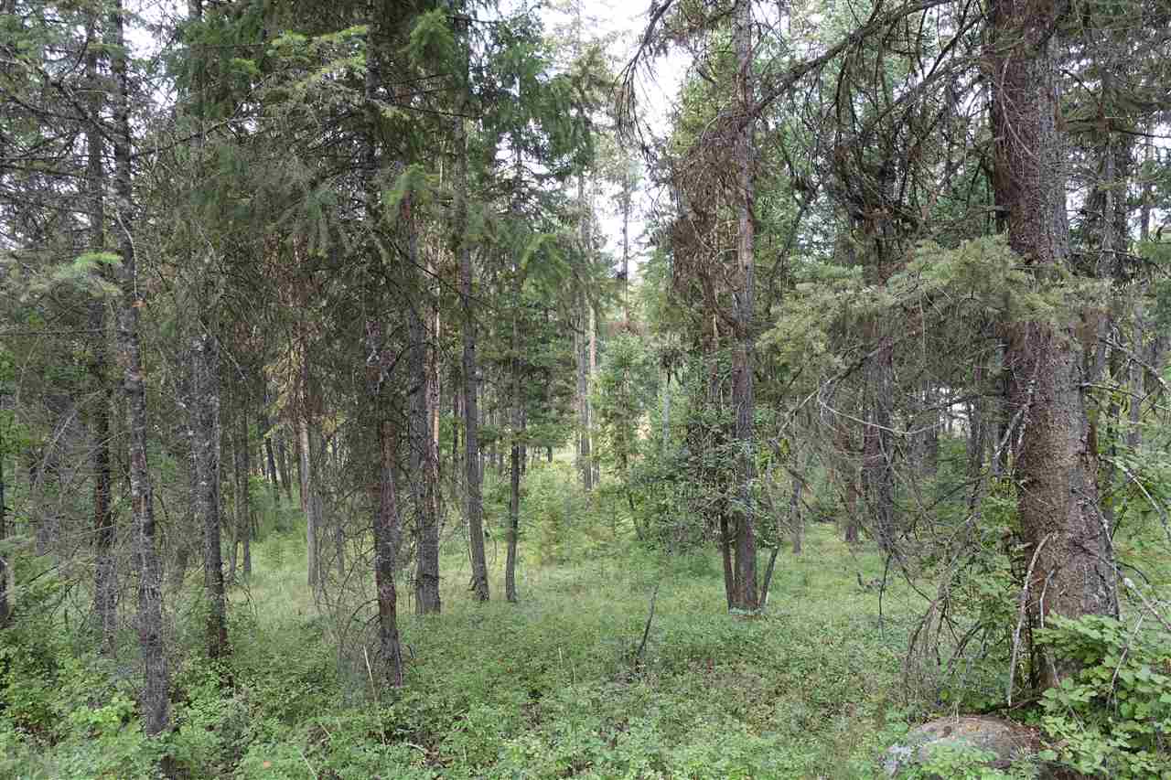 1473 Matson Road Colville, WA 99114 - Photo 13 of 20
